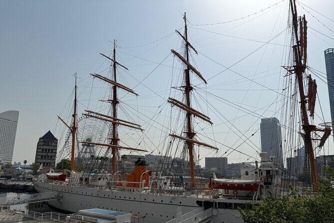 Tokyo or Yokohama Tours: Private, Customizable, Convenient! - The Sum Up