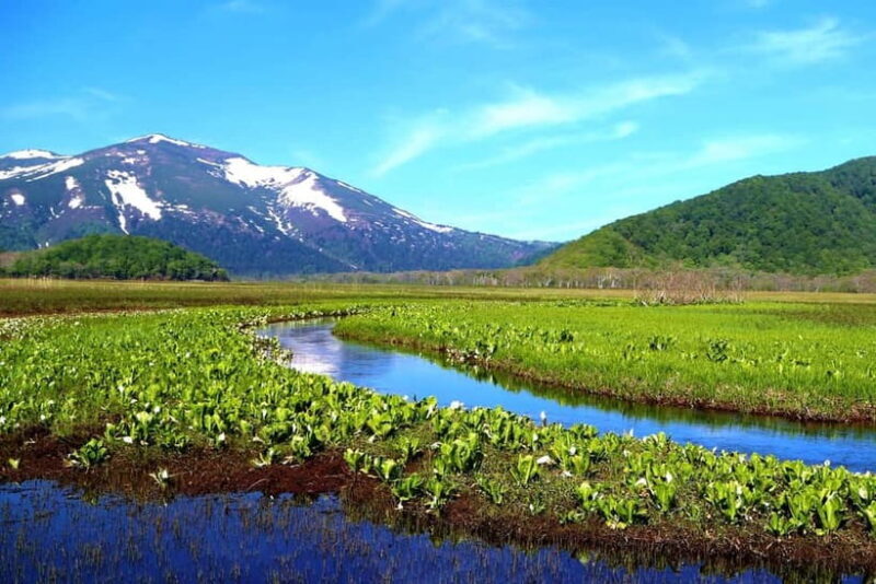 Tokyo: Oze Marshland Hiking Day Trip via Hatomachi Pass - How the Tour Works: A Practical Breakdown