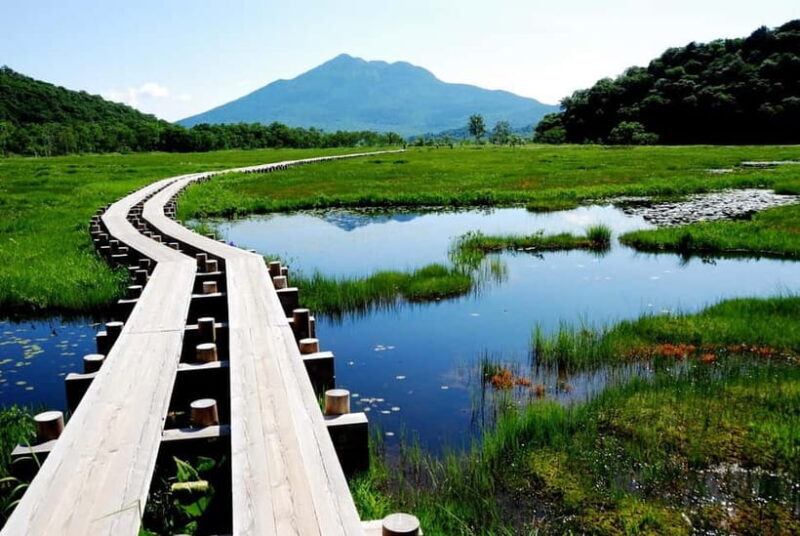 Tokyo: Oze National Park Self-Guided Hike with Overnight Bus - Tokyo: Oze National Park Self-Guided Hike with Overnight Bus — A Practical Escape into Nature