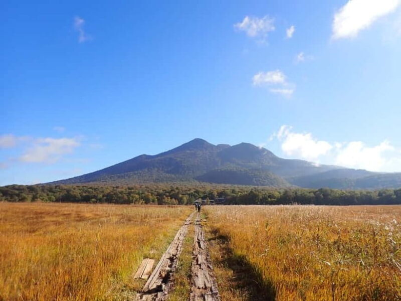 Tokyo: Oze National Park Self-Guided Hike with Overnight Bus - An Overview of the Oze National Park Self-Guided Tour