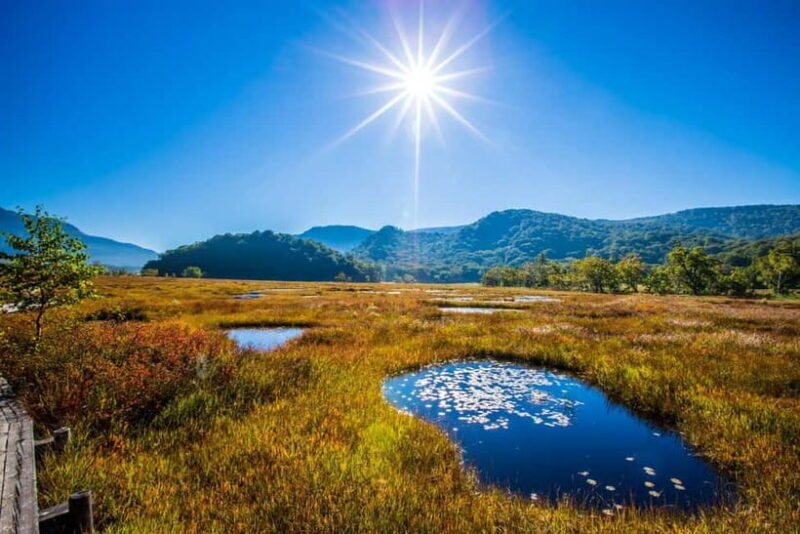 Tokyo: Oze National Park Self-Guided Hike with Overnight Bus - The Value of This Experience