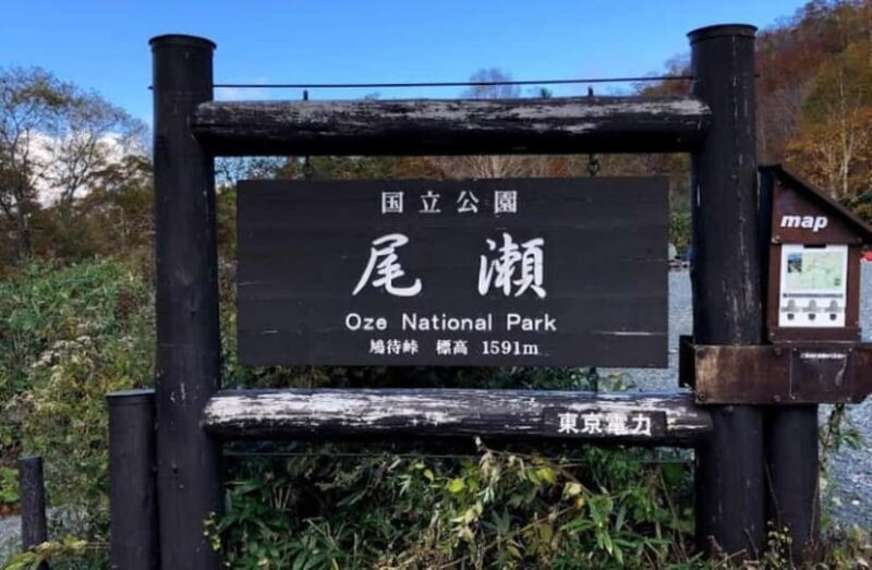 Tokyo: Oze National Park Self-Guided Hike with Overnight Bus - Practical Tips for Your Trip