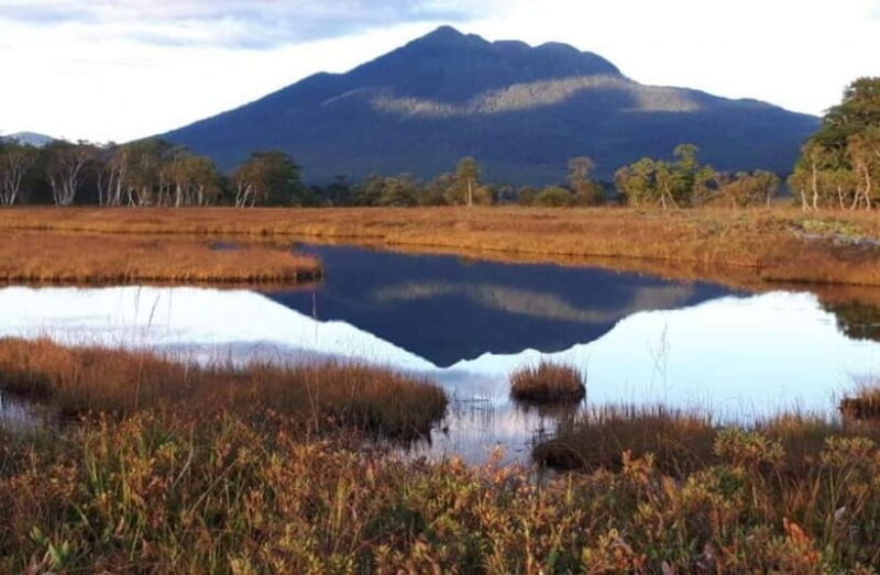 Tokyo: Oze National Park Self-Guided Hike with Overnight Bus - Who Will Love This Tour?