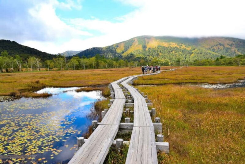 Tokyo: Oze National Park Self-Guided Hike with Overnight Bus - The Sum Up
