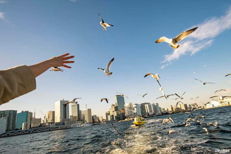 Tokyo: Panoramic Sunset Bay Cruise with Local Guide - Frequently Asked Questions