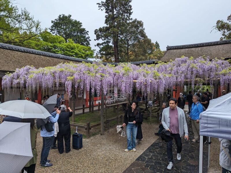 Tokyo: Personalized Half-day Tour - What Travelers Are Saying