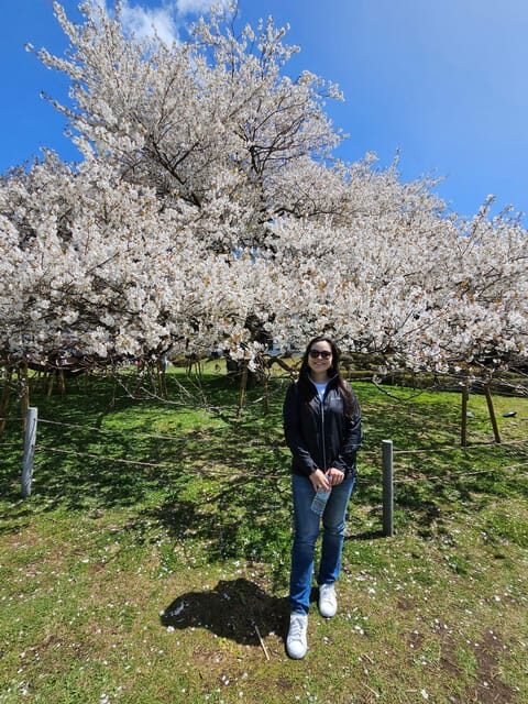 Tokyo: Personalized Half-day Tour - Who Should Consider This Tour?