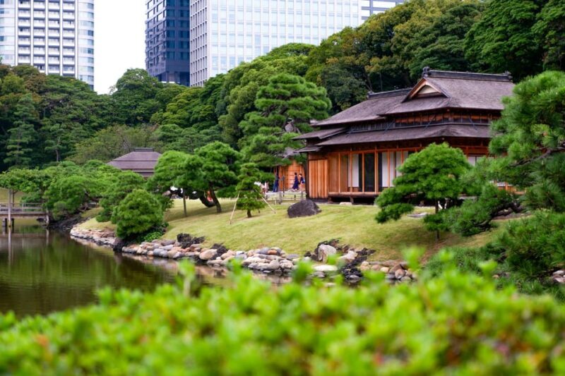Tokyo: Personalized Private 6-Hour Tour - Why Choose a Private, Custom Tokyo Tour?