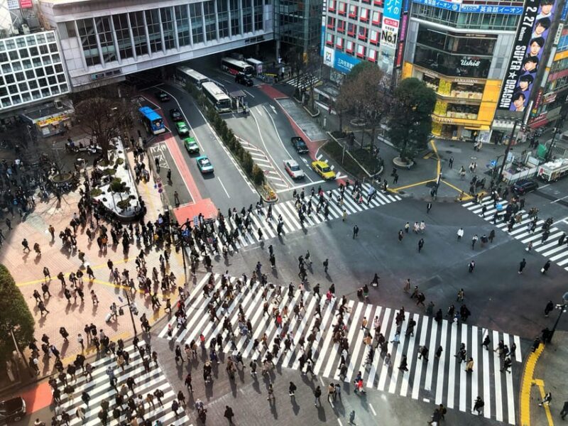Tokyo: Personalized Private 6-Hour Tour - FAQ