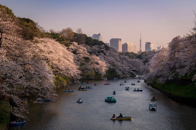 Tokyo Photography Masterclass - Private Photography Lesson - Exploring Tokyo with a Professional Photographer