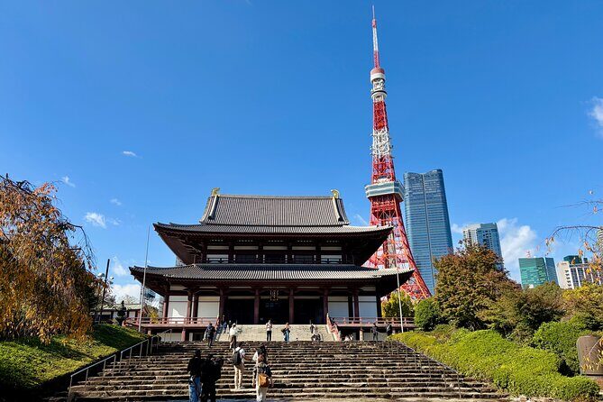 Tokyo Private 1-Day Tour by Car with English-Speaking Driver - The Day Itinerary – What You’ll See and Experience