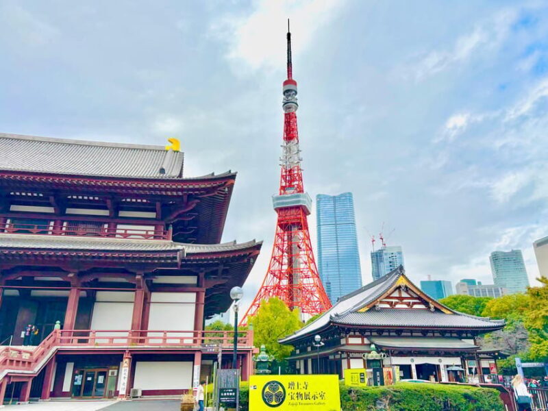 Tokyo: Private 1-Day Tour by Car with Local Guide - Exploring Tokyo in Style and Comfort
