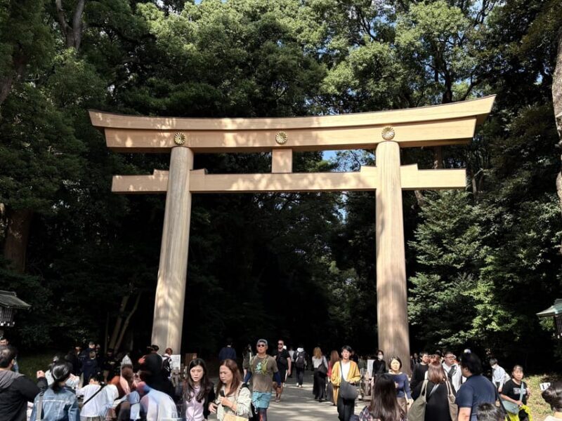 Tokyo: Private 1-Day Tour by Car with Local Guide - Authentic Experiences and Practical Tips