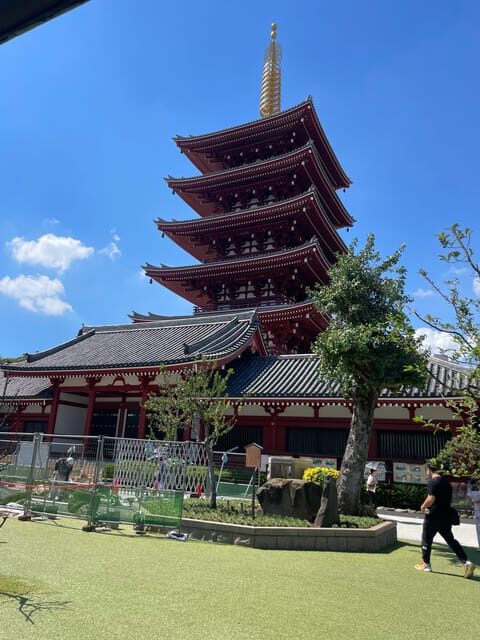 Tokyo: Private City Highlights Tour - What To Expect