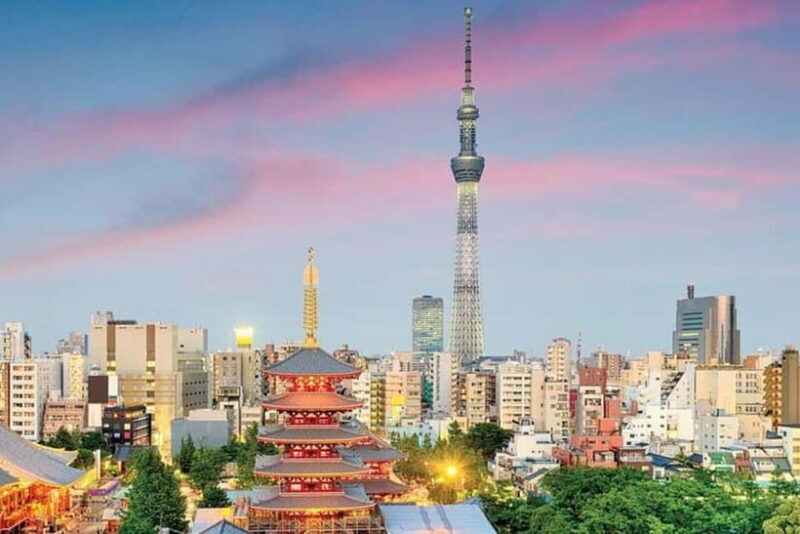 Tokyo: Private Customizable 4-Hour Night Tour - Key Points