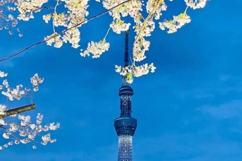 Tokyo: Private Customizable 4-Hour Night Tour - The Sum Up