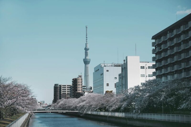 Tokyo: Private Customizable City Tour with Chauffeur - Key Points