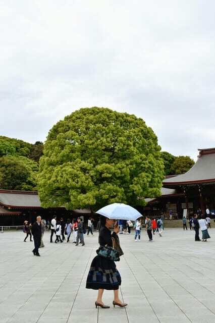 Tokyo: Private Customizable City Tour with Chauffeur - FAQs