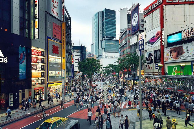 Tokyo Private Customizable Half Day Tour - The Itinerary Breakdown