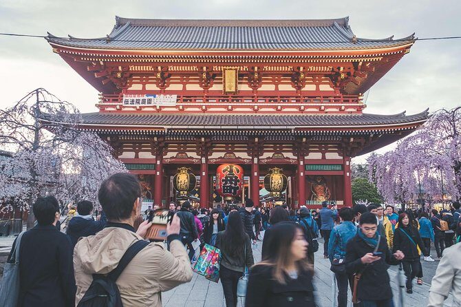 Tokyo Private Customizable Half Day Tour - Authentic Experiences and Highlights from Reviews
