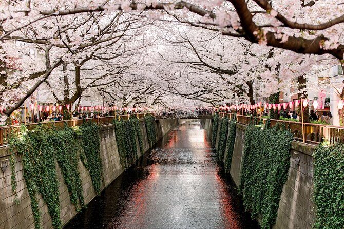 Tokyo Private Customizable Half Day Tour - Why Choose This Tour?