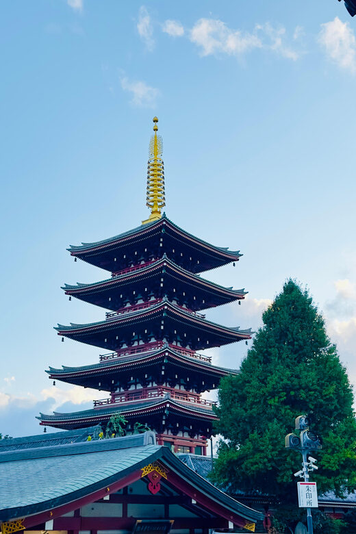 Tokyo: Private & Customizable Tour W/English Speaking Guide - Why This Tour Offers Good Value