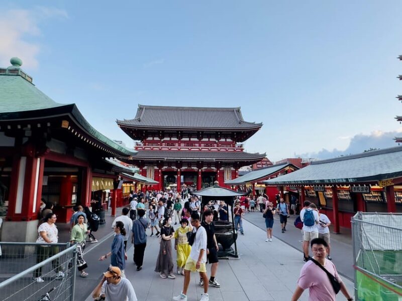 Tokyo: Private & Customizable Tour W/English Speaking Guide - Final Thoughts