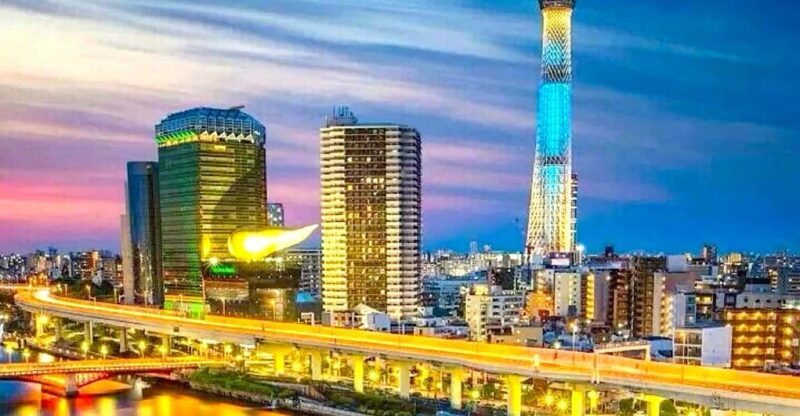 Tokyo Private Customizable Tour with a Local Guide - Is This Tour Right for You?