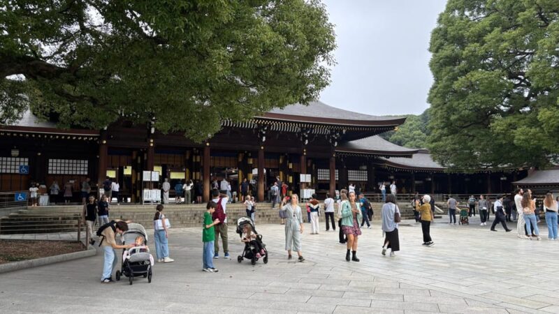 Tokyo: Private Customizable Tour with a Local Guide - Exploring Tokyo at Your Own Pace