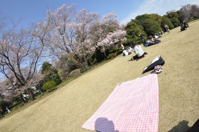 Tokyo: Private Cycling Tour with cute E-bike - Authentic Cultural Touches