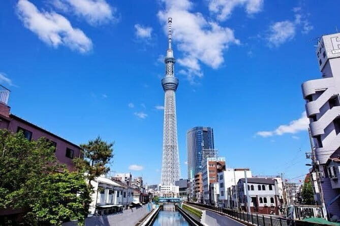 Tokyo Private Day Tour by Car with English speaking Driver - Who Should Consider This Tour?
