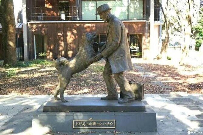 Tokyo Private Day Tour by Car with English speaking Driver Guide - Key Points