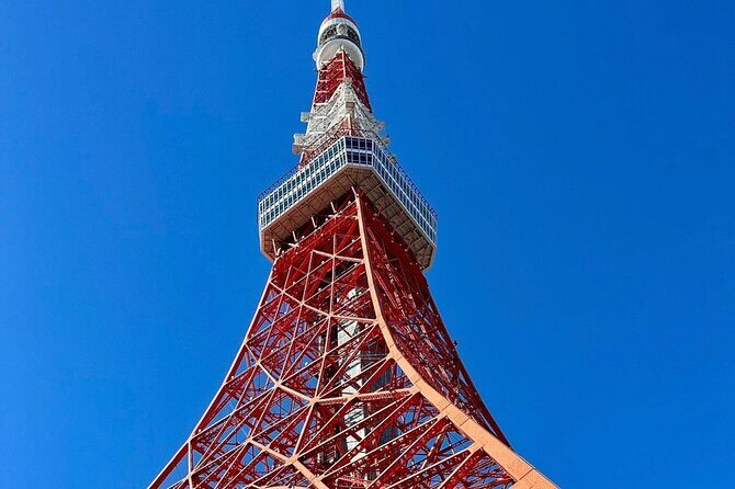 Tokyo Private Day Tour by Car with English speaking Driver Guide - Overall Value and Suitability