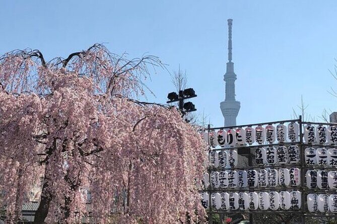 Tokyo Private Day Tour by Car with English speaking Driver Guide - Final Thoughts