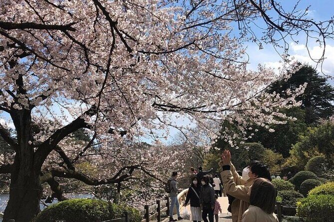 Tokyo Private Day Tour by Car with English speaking Driver Guide - Final Summary
