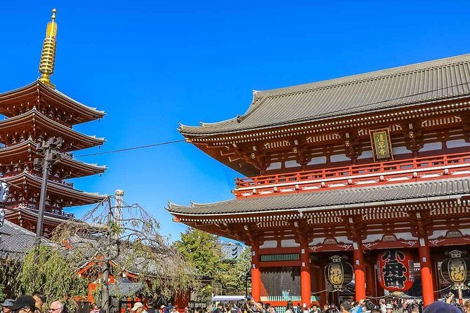 Tokyo Private Day Trip - Enjoy Your First-Time Visit to Tokyo! - Who Will Love This Tour?