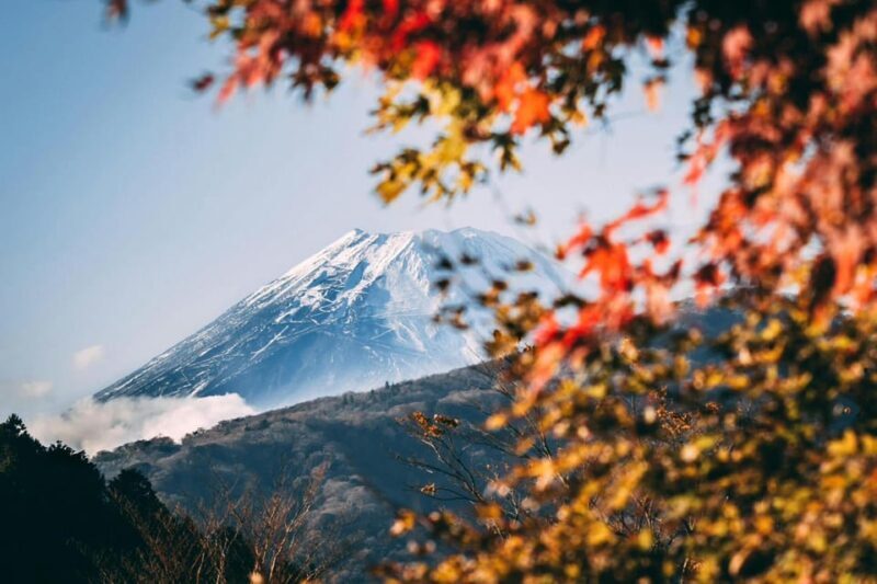 Tokyo: Private Day Trip to Mount Fuji and Hakone - Is It Worth the Cost?