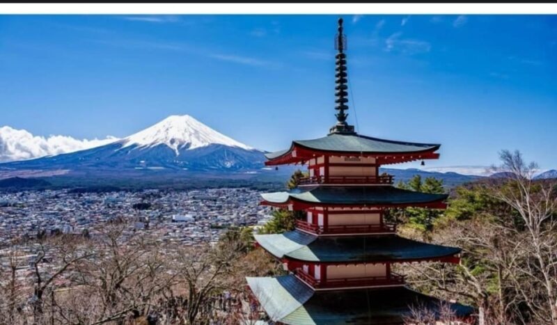 Tokyo: Private Day Trip to Mount Fuji and Hakone - Who Should Consider This Tour?