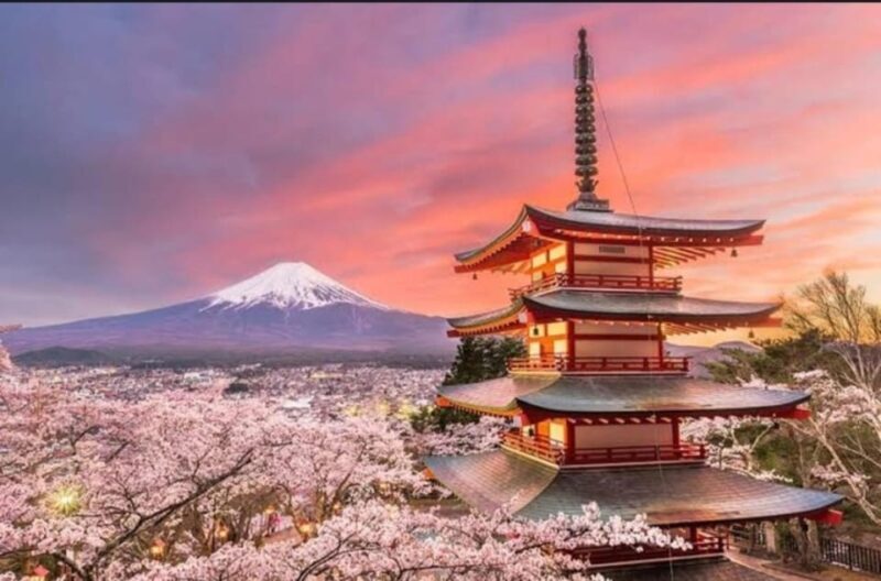 Tokyo: Private Day Trip to Mount Fuji and Hakone - FAQ