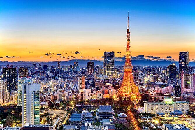 Tokyo Private Driving Tour by Car/Van- English speaking chauffeur - An In-Depth Look at the Tour Experience