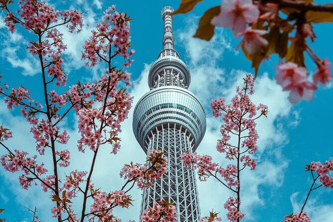 Tokyo Private Driving Tour by Car/Van- English speaking chauffeur - FAQ