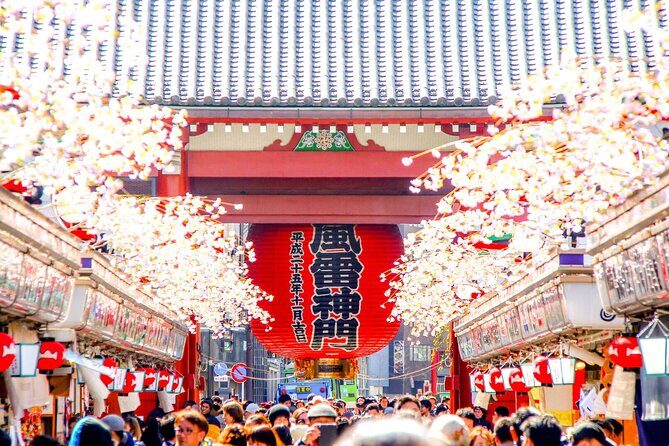 Tokyo Private Group Tour Flexible Schedule and Stops - Analyzing the Value