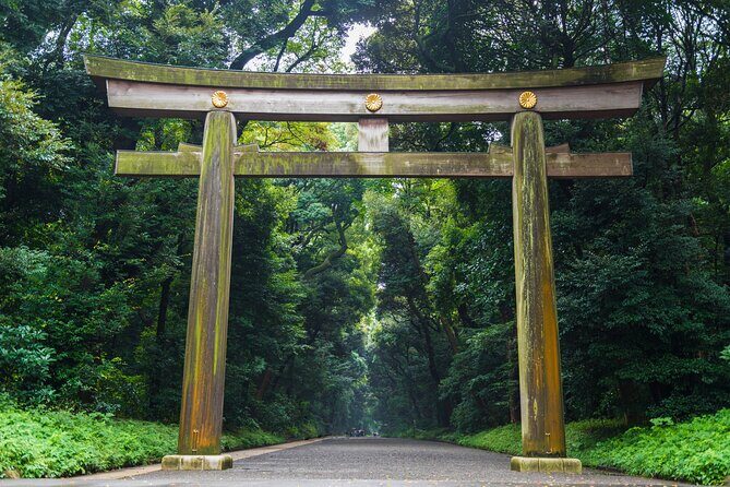 Tokyo Private Group Tour Flexible Schedule and Stops - Who Will Benefit Most?
