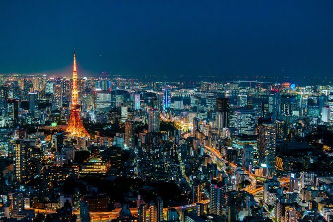 Tokyo Private Group Tour Flexible Schedule and Stops - The Sum Up