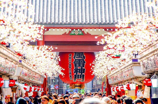 Tokyo Private Group Tour Flexible Schedule and Stops - FAQ