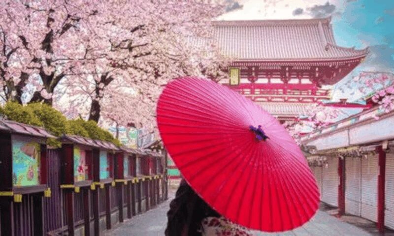 Tokyo: Private Guided Tour with Hotel Pickup and Drop-off - What Makes This Tour Stand Out?