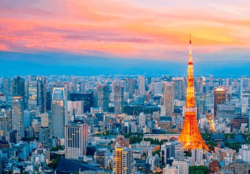 Tokyo: Private Guided Tour with Hotel Pickup and Drop-off - Authenticity and Local Insights