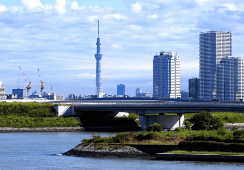 Tokyo: Private Guided Tour with Hotel Pickup and Drop-off - Who This Tour Is Best For