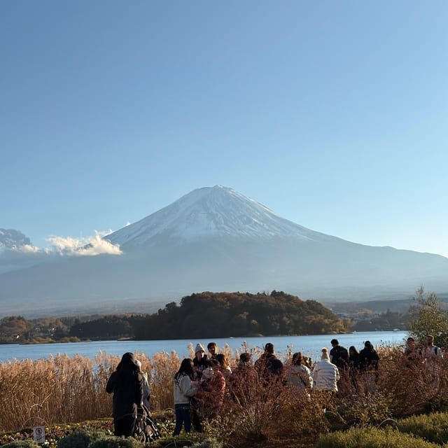 Tokyo: Private Half-Day Tour by Car with Local Guide - A Practical Look at the Tour Experience