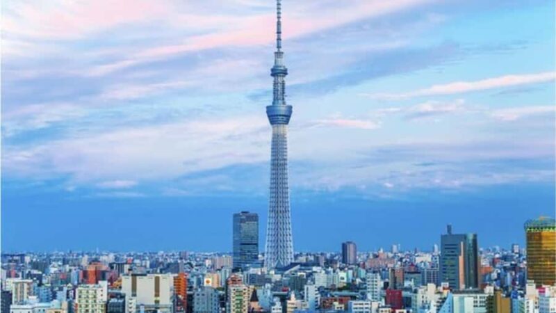Tokyo: Private Instagramable Customised Tokyo City Day Tour - A Deep Dive into the Experience